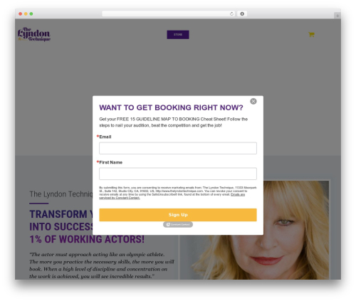Designthemes class addon WordPress plugin - thelyndontechnique.com