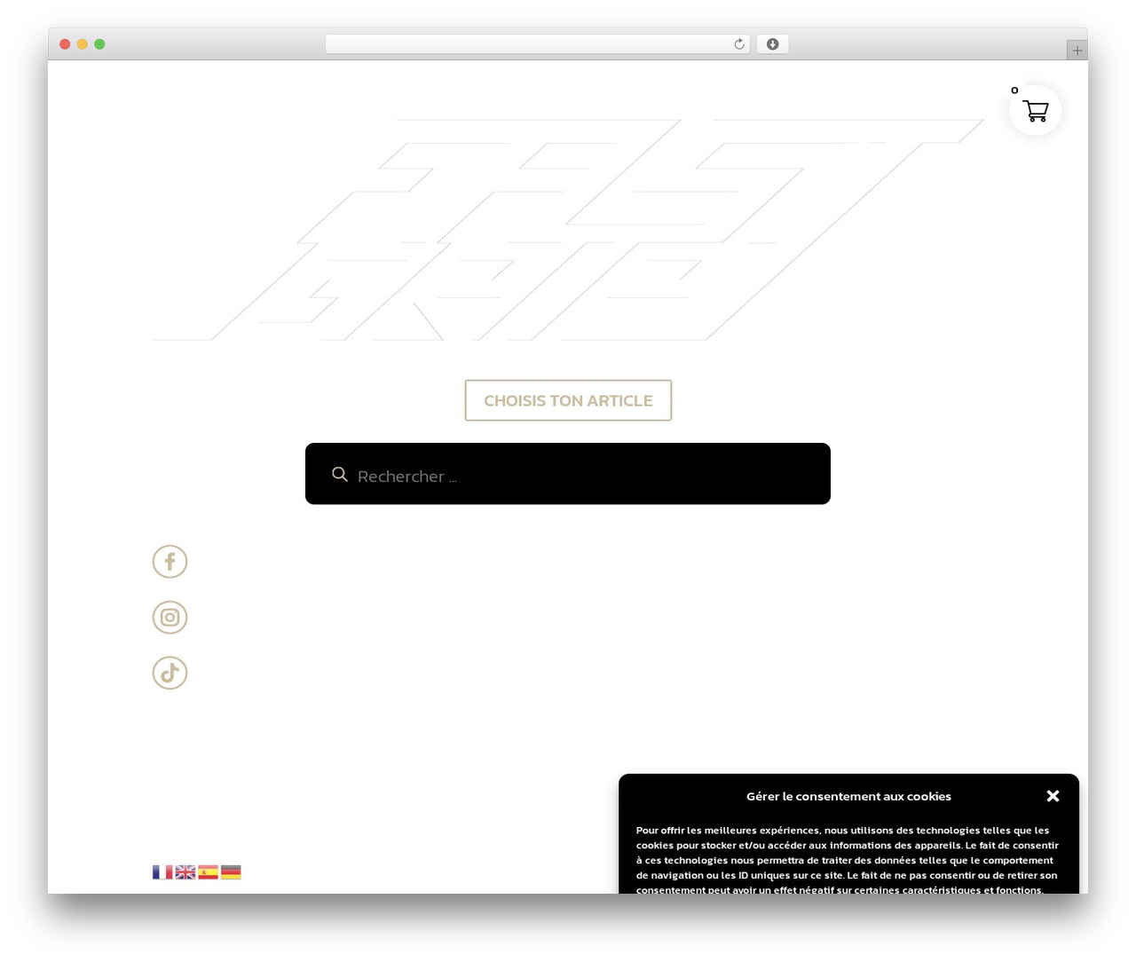 Divi theme WordPress - thefastgrip.com Divi theme WordPress - thefastgrip.com