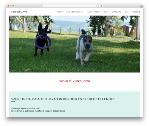 Flash Pro WordPress theme - boldogkutya.hu