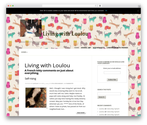 Print My Blog – Print, PDF, & eBook Converter WordPress Plugin free WordPress plugin - livingwithloulou.com