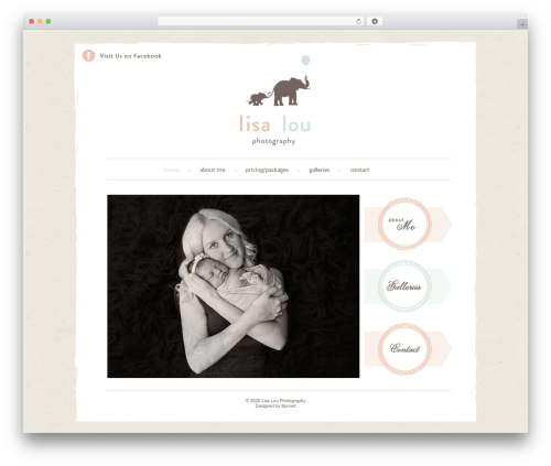 Adjustly Collapse (adjustly-collapse) free WordPress plugin - lisalouphotography.com.au Adjustly Collapse (adjustly-collapse) free WordPress plugin - lisalouphotography.com.au