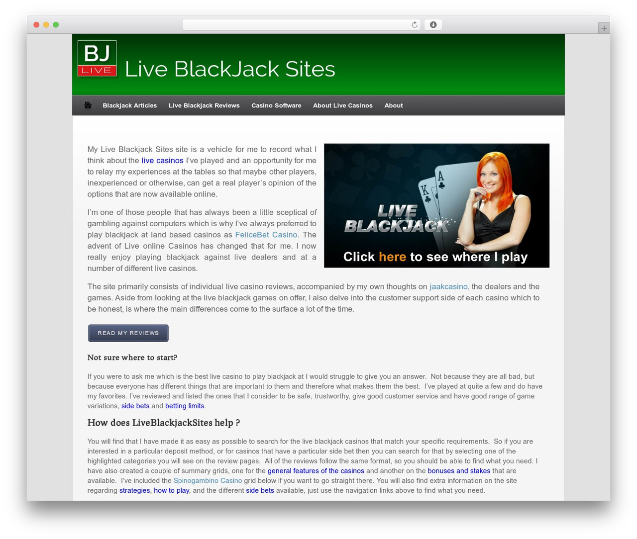 Made WordPress theme - liveblackjacksites.com