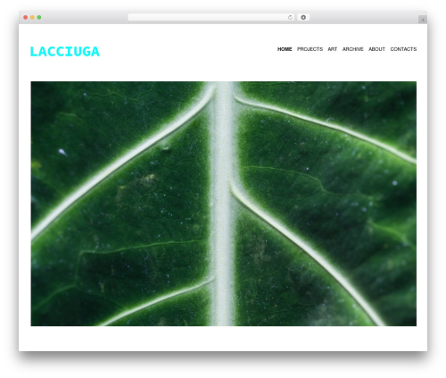 Reframe WP theme - lacciuga.com