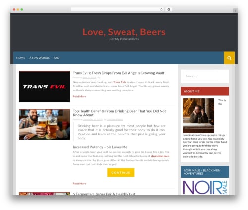 Synapse WP theme - lovesweatbeers.com