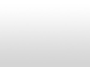 WordPress theme Local 119 by Bravo Tango