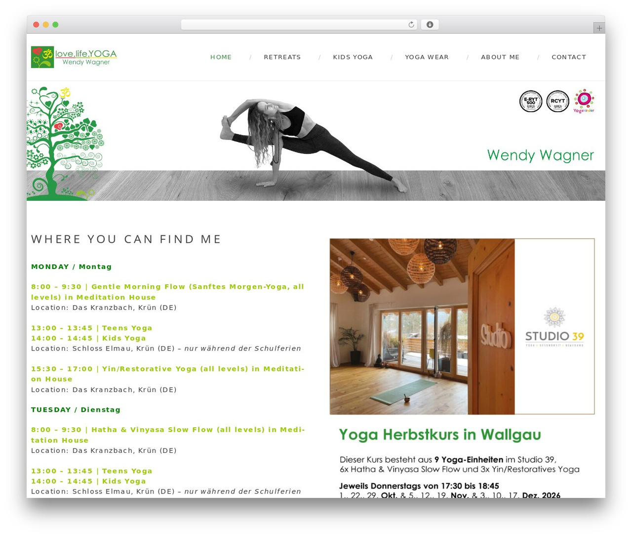 WordPress theme TM Zebre - lovelife-yoga.com