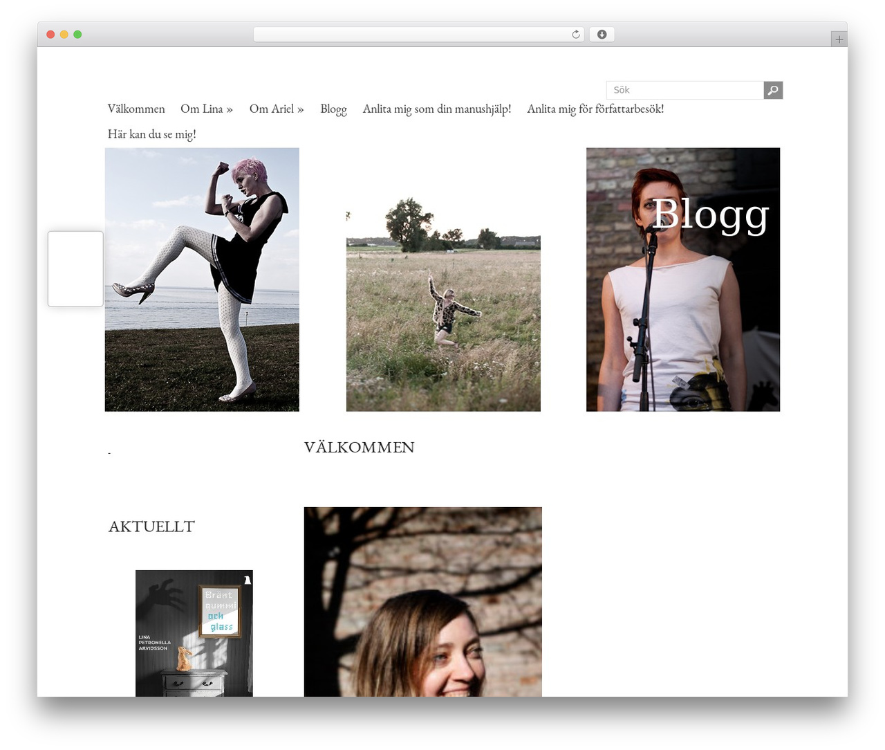 WordPress website theme Portrait - larvidsson.se WordPress website theme Portrait - larvidsson.se