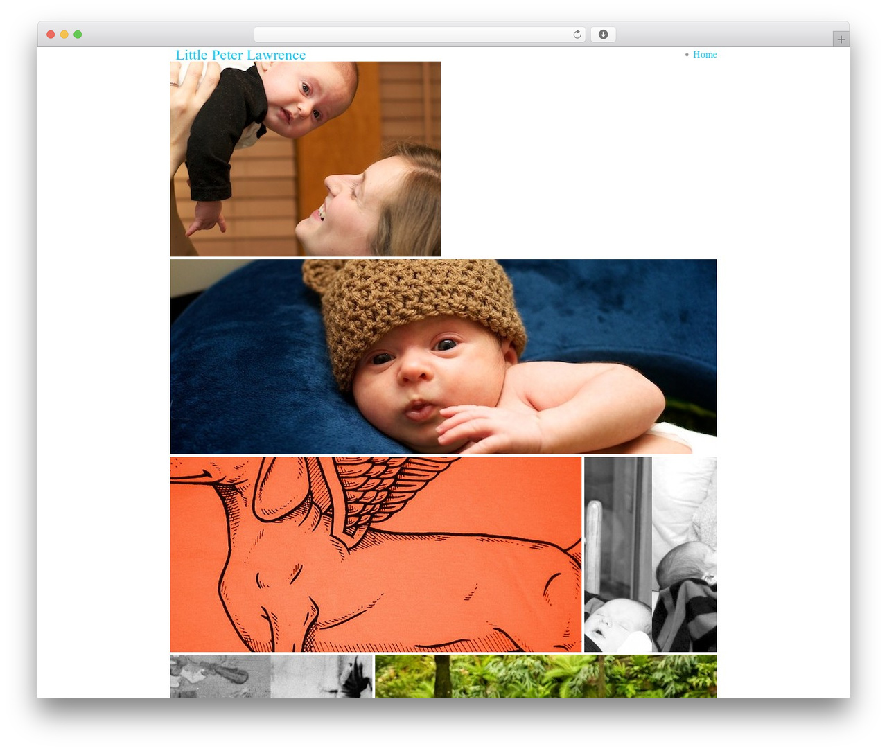 AutoFocus+ theme WordPress - littlepeterlawrence.com