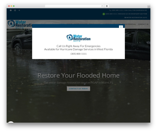 Beacon Theme WordPress theme - waterrestorationguys.com