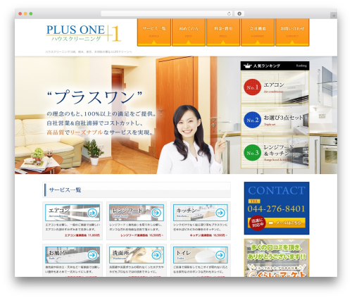 Best WordPress theme PlusOne - lifeclean-plus1.com