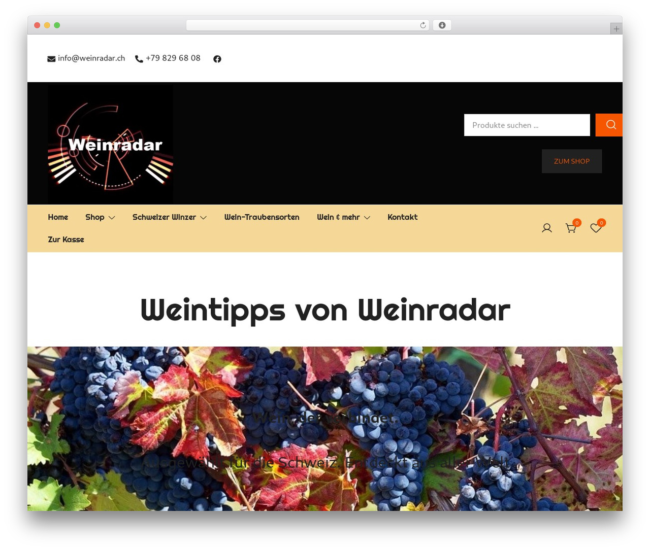 Botiga WordPress theme - weinradar.ch