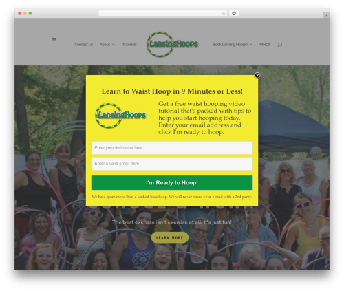 PopupAlly (popupally) free WordPress plugin - lansinghoops.com PopupAlly (popupally) free WordPress plugin - lansinghoops.com
