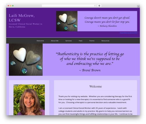 Enterprise Pro Theme WordPress theme - lailimcgrewlcsw.com