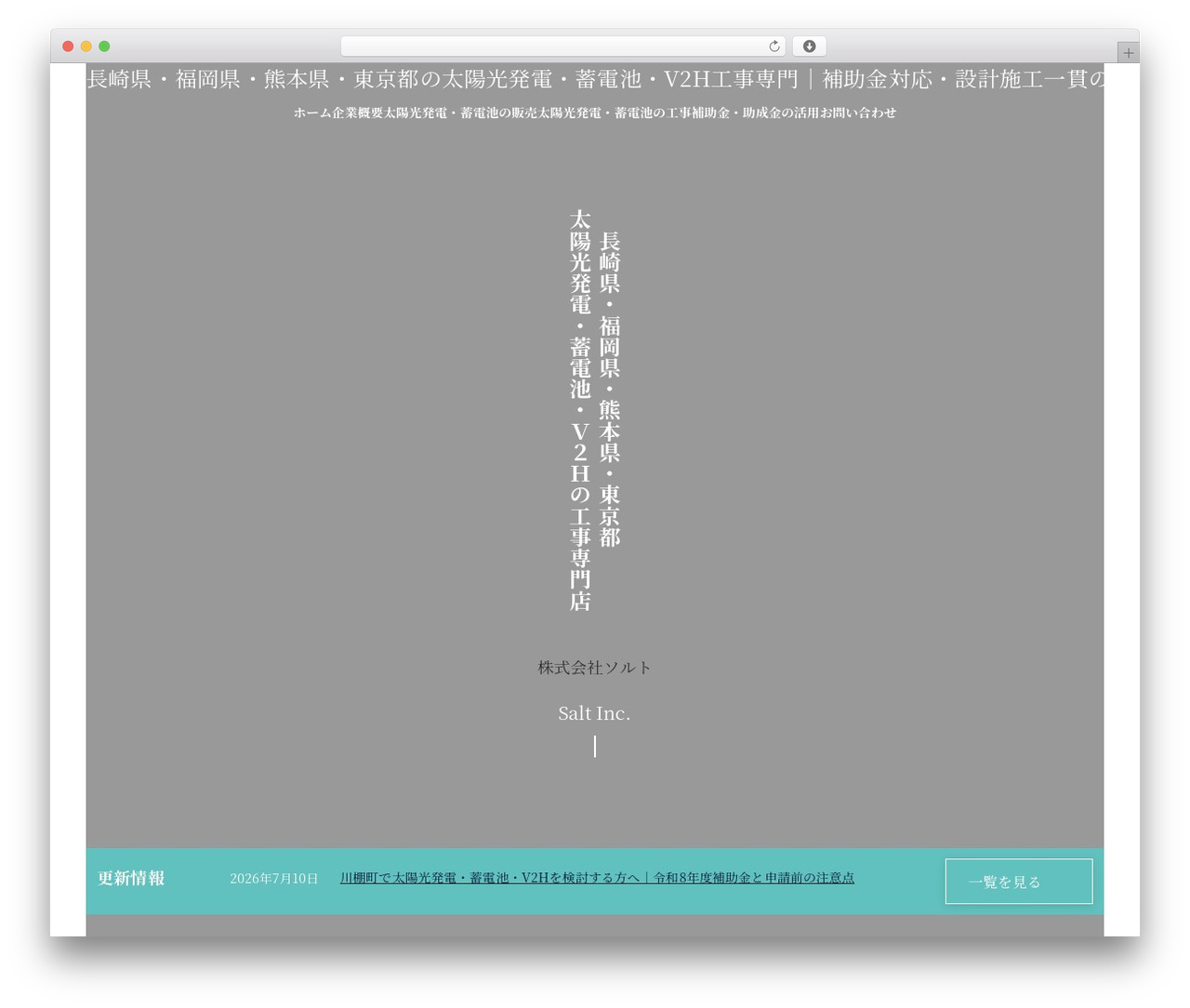 Lightning theme WordPress - n-salt.net