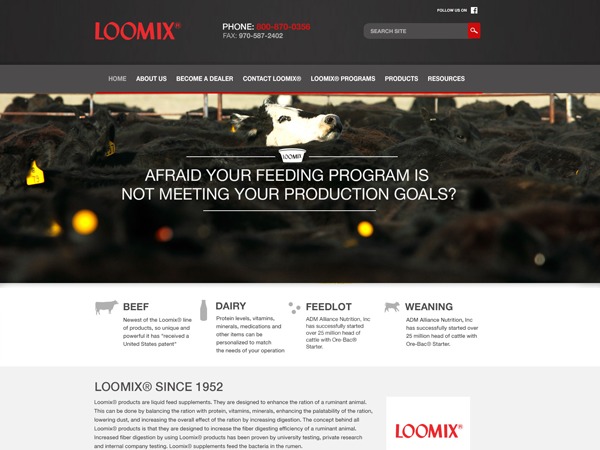 Loomix WordPress theme Loomix WordPress theme