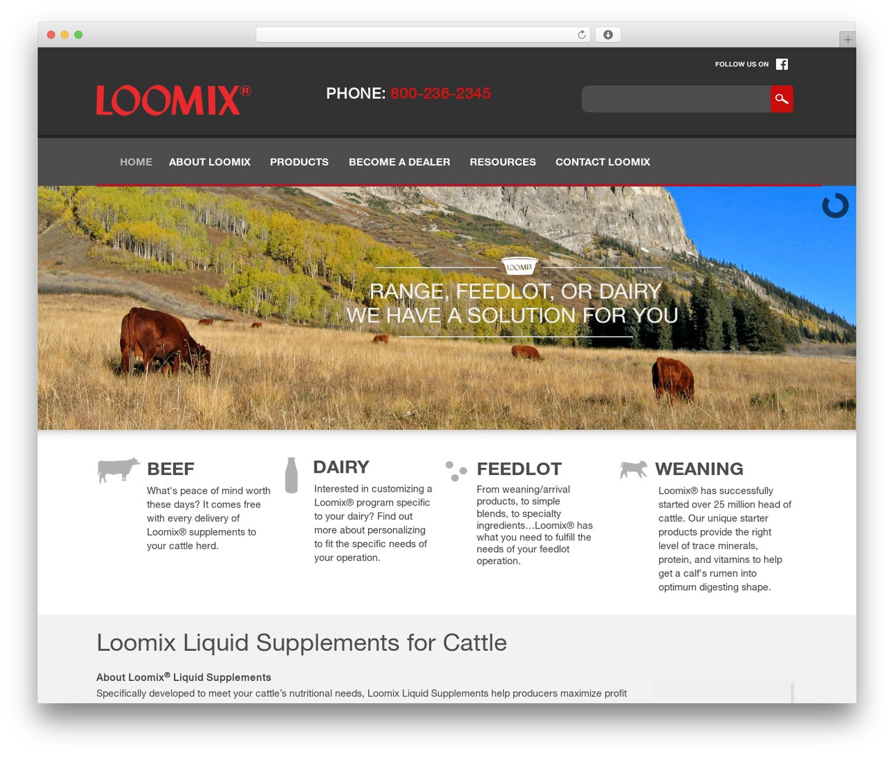 Loomix WordPress theme - loomix.com Loomix WordPress theme - loomix.com