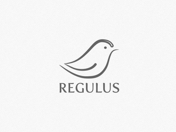 Regulus.lt WordPress theme Regulus.lt WordPress theme