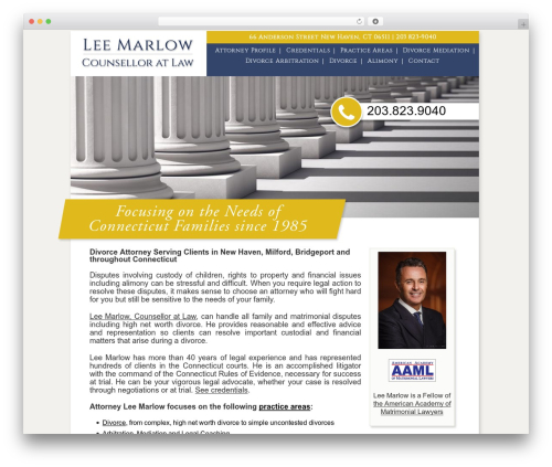 Theme WordPress lee - leemarlow.com