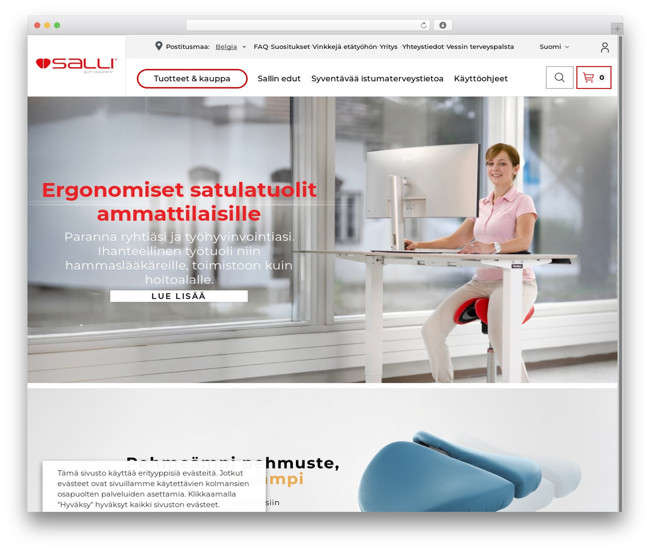 Theme WordPress Salli 2k18 - salli.com Theme WordPress Salli 2k18 - salli.com