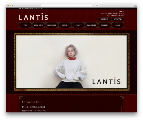Doc_wp4cusom WordPress plugin - lantis-hair.com