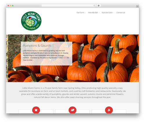 Square Sync (square-sync) free WordPress plugin - littlemiamifarms.com Square Sync (square-sync) free WordPress plugin - littlemiamifarms.com
