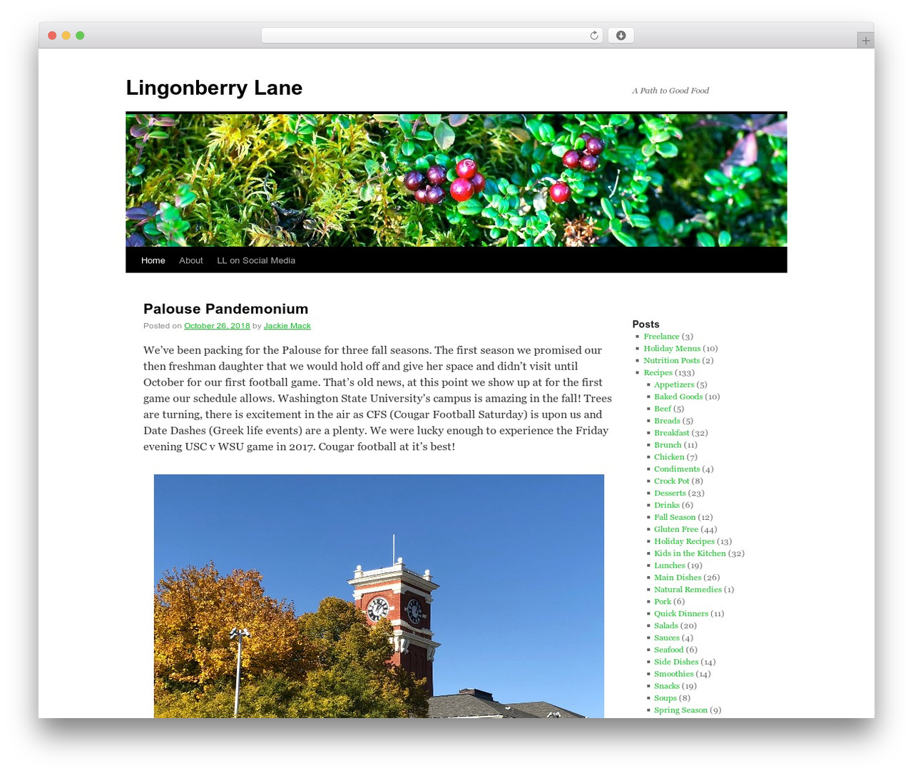 2010 Weaver WordPress website theme - lingonberrylane.com