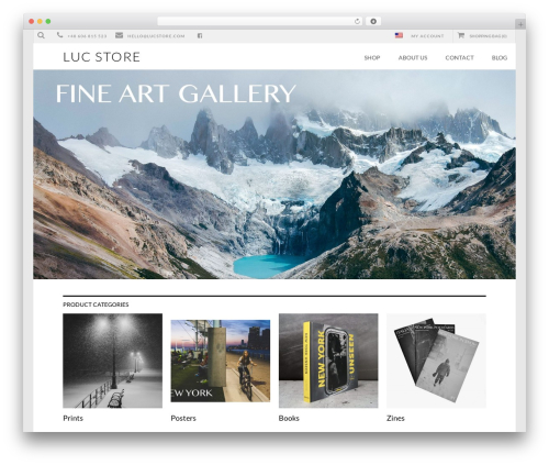 Best WordPress theme Retail Therapy - lucstore.com