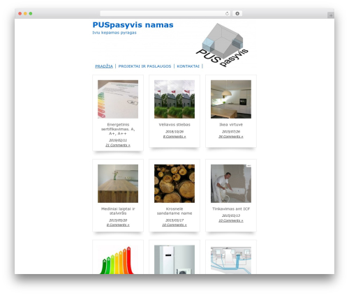 BirdSITE WordPress theme - livinprojects.lt