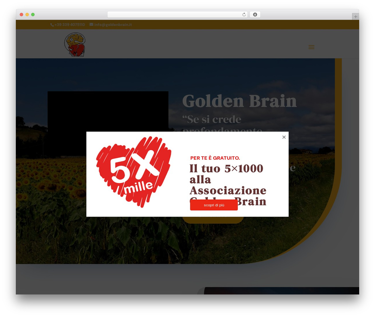 Golden Brain WordPress theme - goldenbrain.it