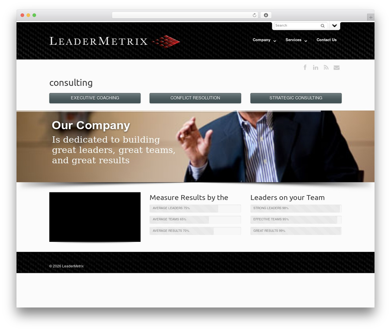 DynamiX WordPress page theme - leadermetrix.com