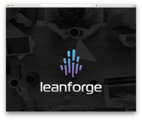 Hgr_vc_extender WordPress plugin - leanforge.pl