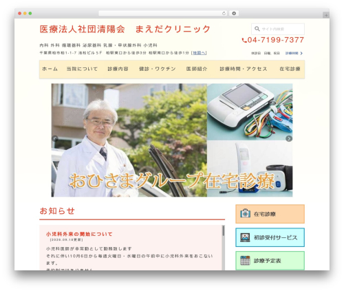 Business calendar WordPress plugin - maeda-cl.org