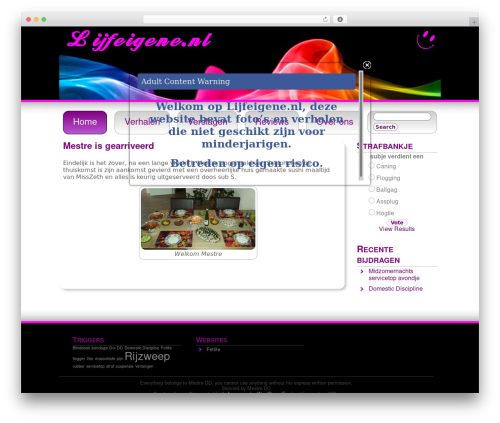 WP Flipclock (wp-flipclock) free WordPress plugin - lijfeigene.nl/live