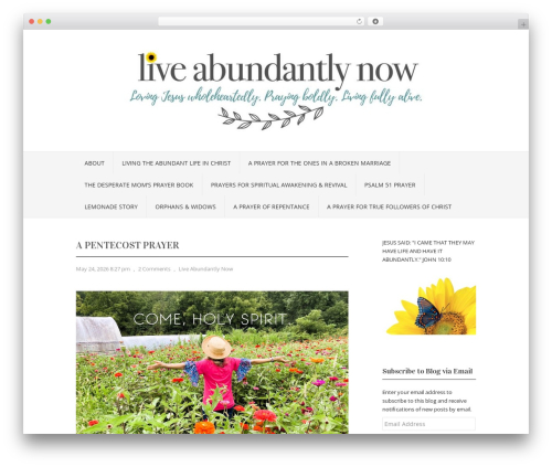Subscribe & Connect (subscribe-and-connect) free WordPress plugin - liveabundantlynow.com Subscribe & Connect (subscribe-and-connect) free WordPress plugin - liveabundantlynow.com