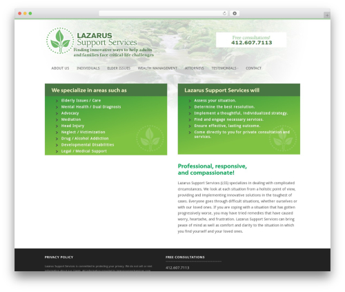Wp testimonials WordPress plugin - lazarussupportservices.com