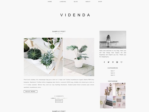 WordPress theme Videnda 4.0 by Light Morango