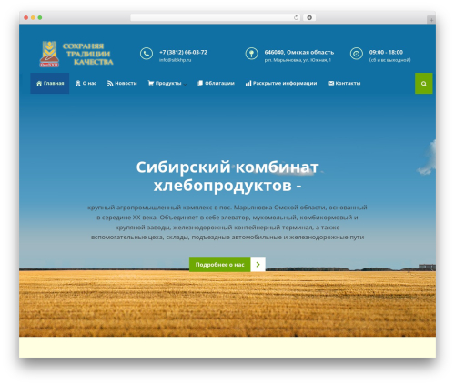 WordPress website theme Make Progress 2 - sibkhp.ru