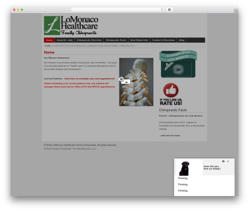 WP Remix 2.0 WordPress website theme - lomonacochiropractic.com
