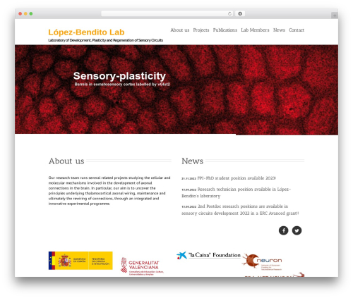 WP theme Avada - lopezbenditolab.com