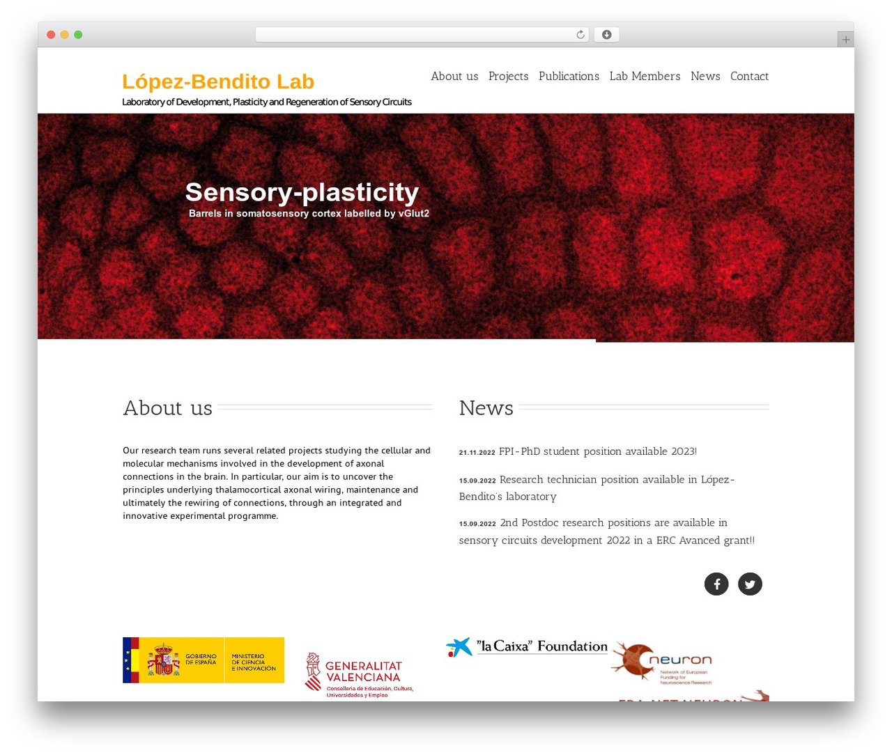 WP theme Avada - lopezbenditolab.com WP theme Avada - lopezbenditolab.com