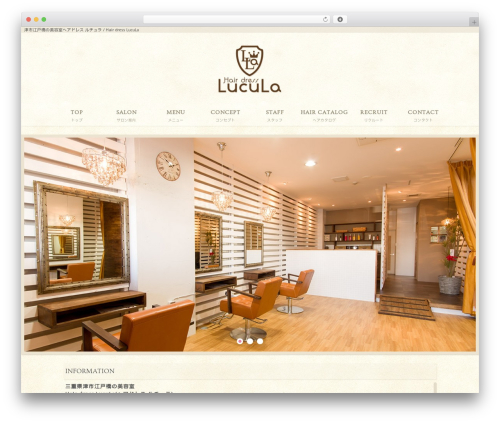 Doc_wp4cusom WordPress plugin - lucula.com