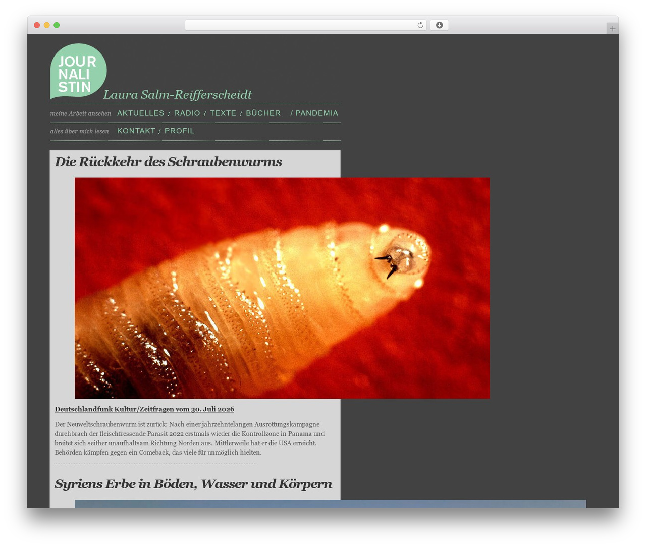 Ambiru theme WordPress - laurasalm.com
