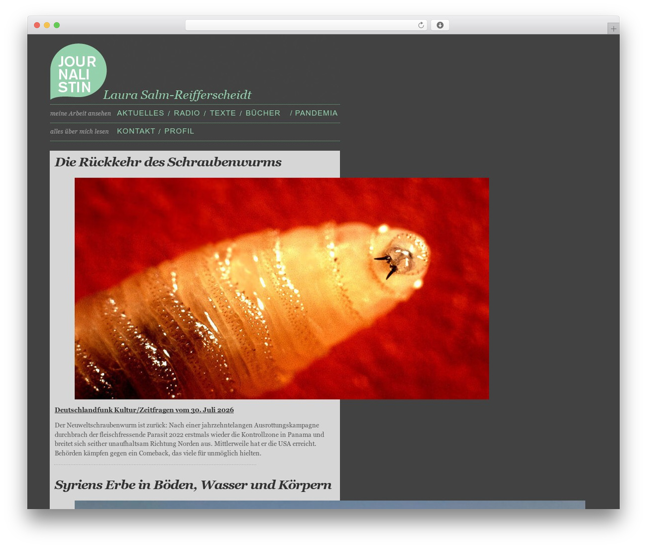 Ambiru theme WordPress - laurasalm.de