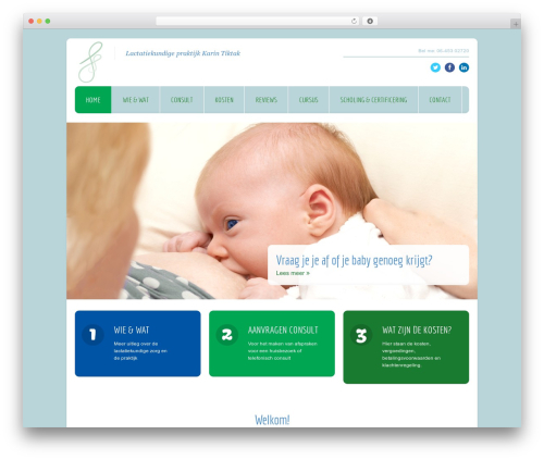 Babysitter best WordPress theme - lactatiekundige.info