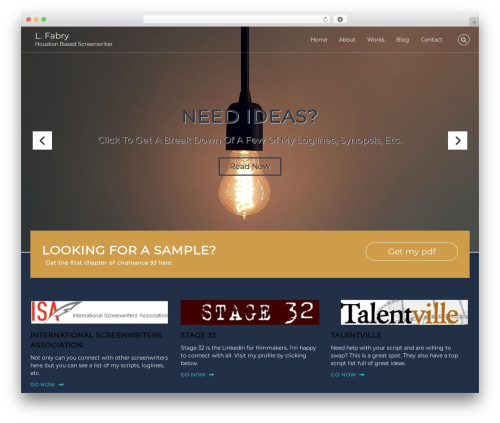 Flash theme WordPress free - lfabry.com