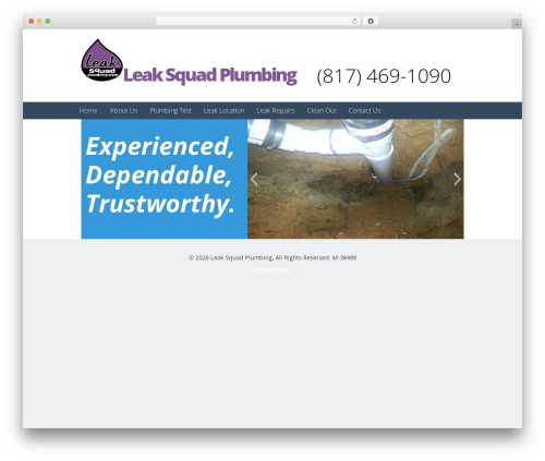 Skylark theme WordPress - leaksquadplumbing.com