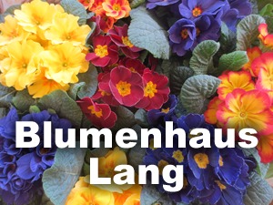 Theme WordPress lang by offizium