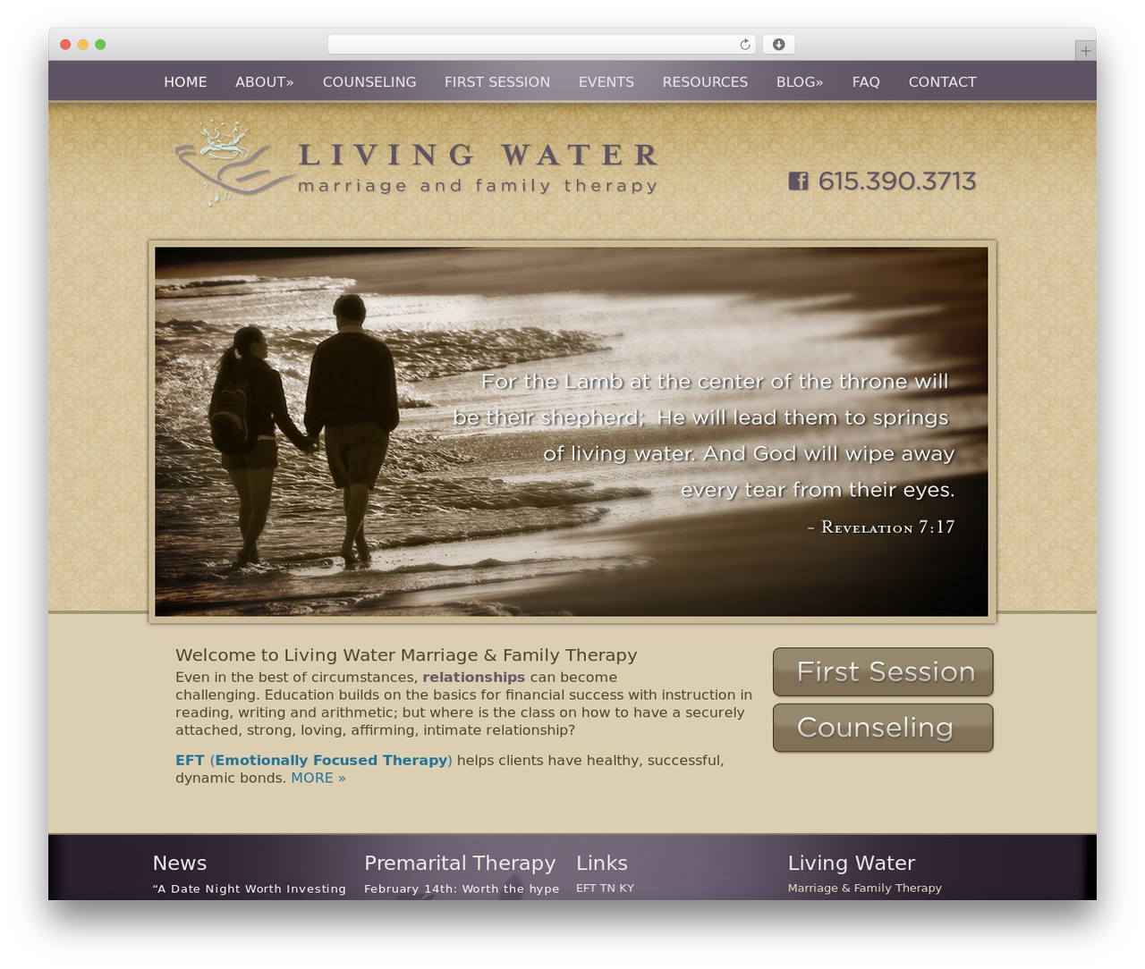 WordPress theme Catalyst - livingwatermft.com