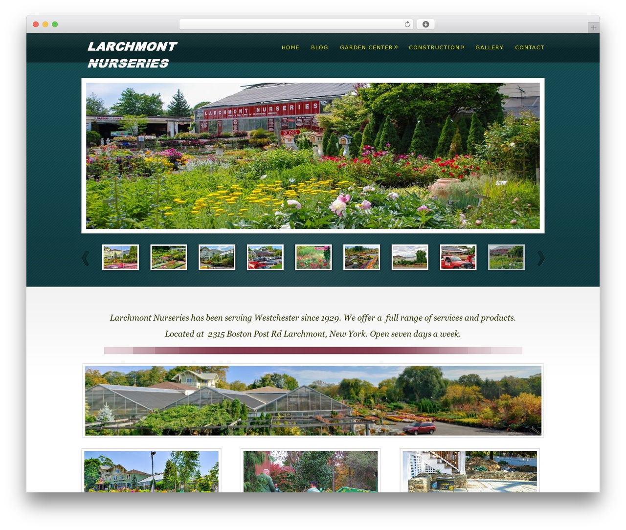 WordPress theme HighLight - larchmontnursery.com