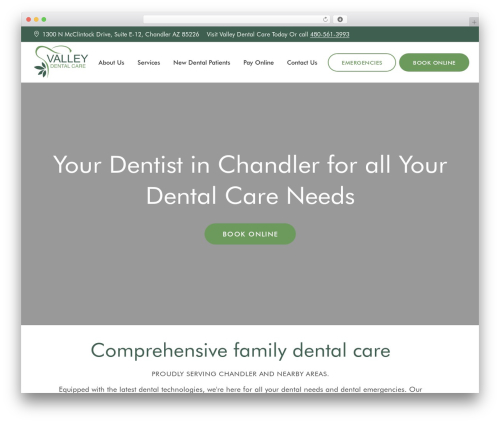 Accessibility fixer WordPress plugin - valleydentalcare.org